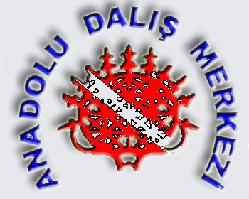 [Click to open]